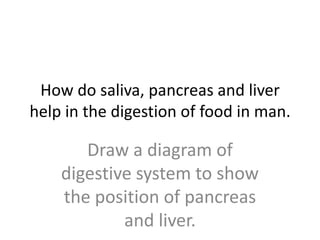 How do saliva, pancreas and liver
help in the digestion of food in man.

       Draw a diagram of
    digestive system to show
    the position of pancreas
            and liver.
 