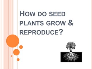 HOW DO SEED
PLANTS GROW
REPRODUCE?

&

 