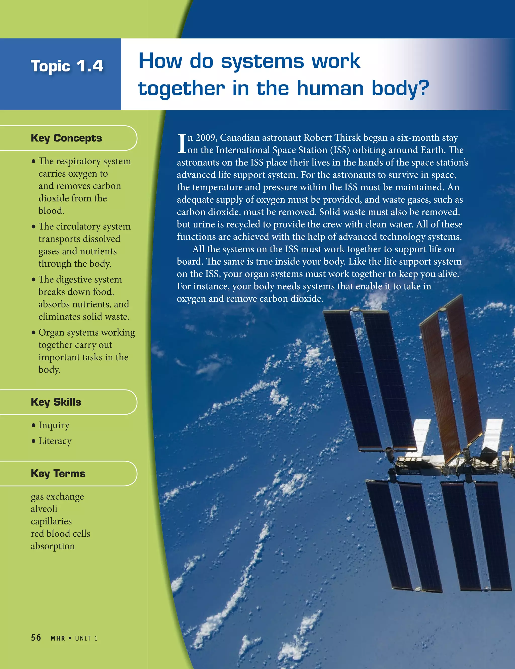 How do systems work PDF