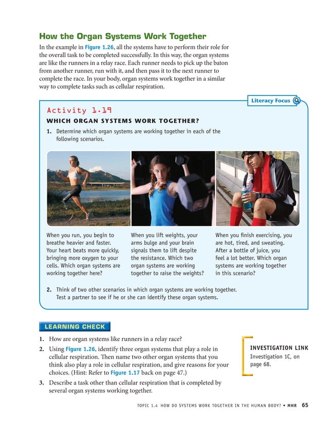 How do systems work PDF