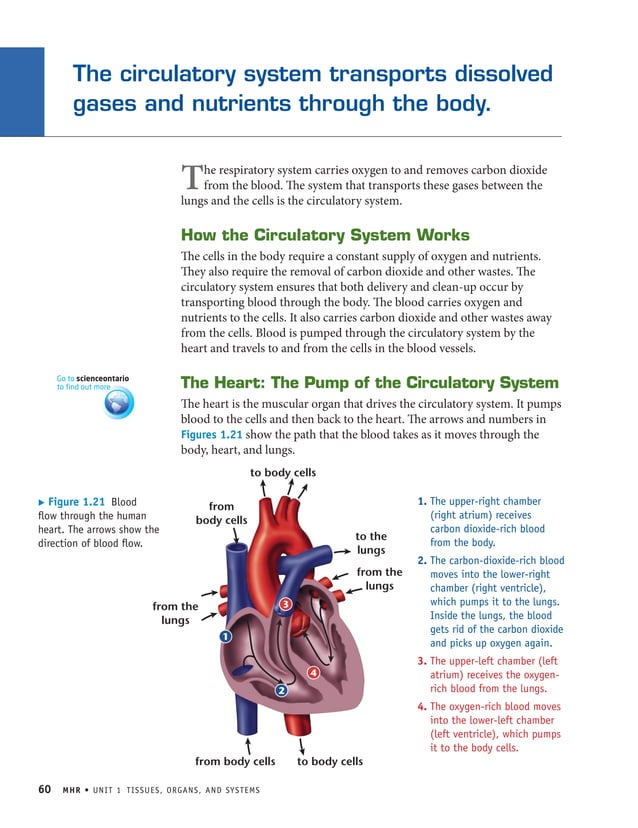 How do systems work PDF