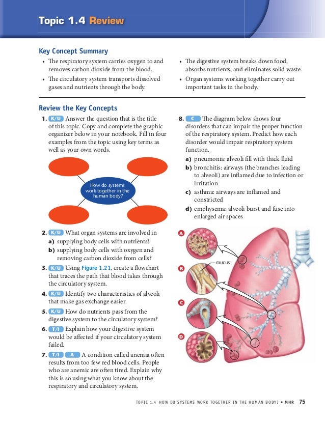 Which Organ In Your Body Removes Solid Food Wastes Which Organ In Your Body Removes Solid Food Wastes