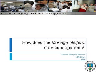How does the Moringa oleifera
cure constipation ?
Yanielis Rodriguez Ramirez
UPR Cayey
RISE
 