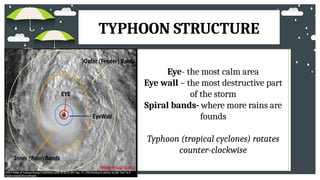 How typhoon develop? stage of typhoon.pptx