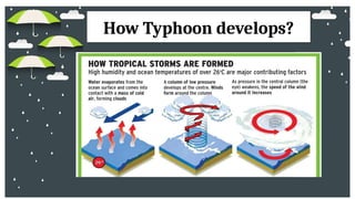 How typhoon develop? stage of typhoon.pptx