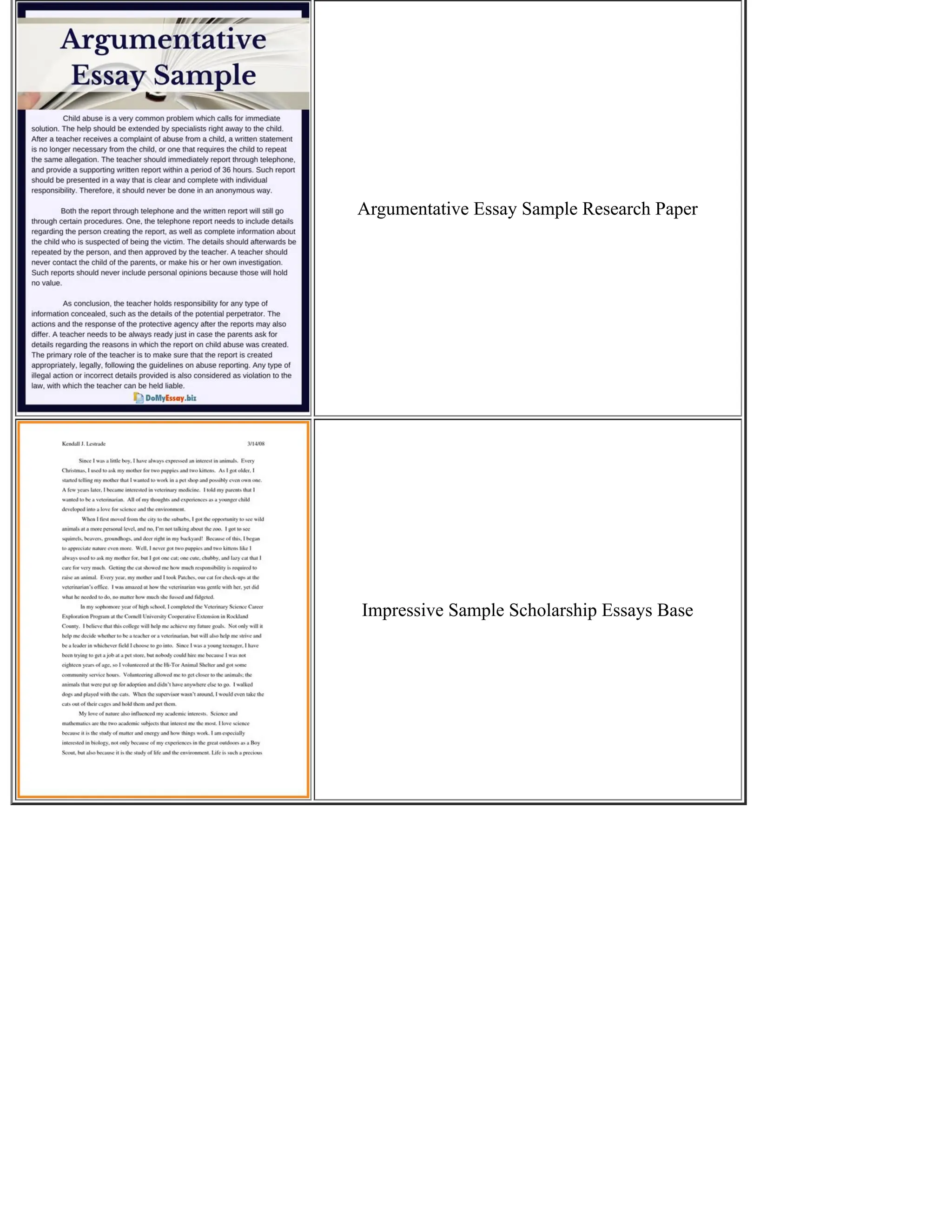 Argumentative Essay Sample Research Paper
Impressive Sample Scholarship Essays Base
 