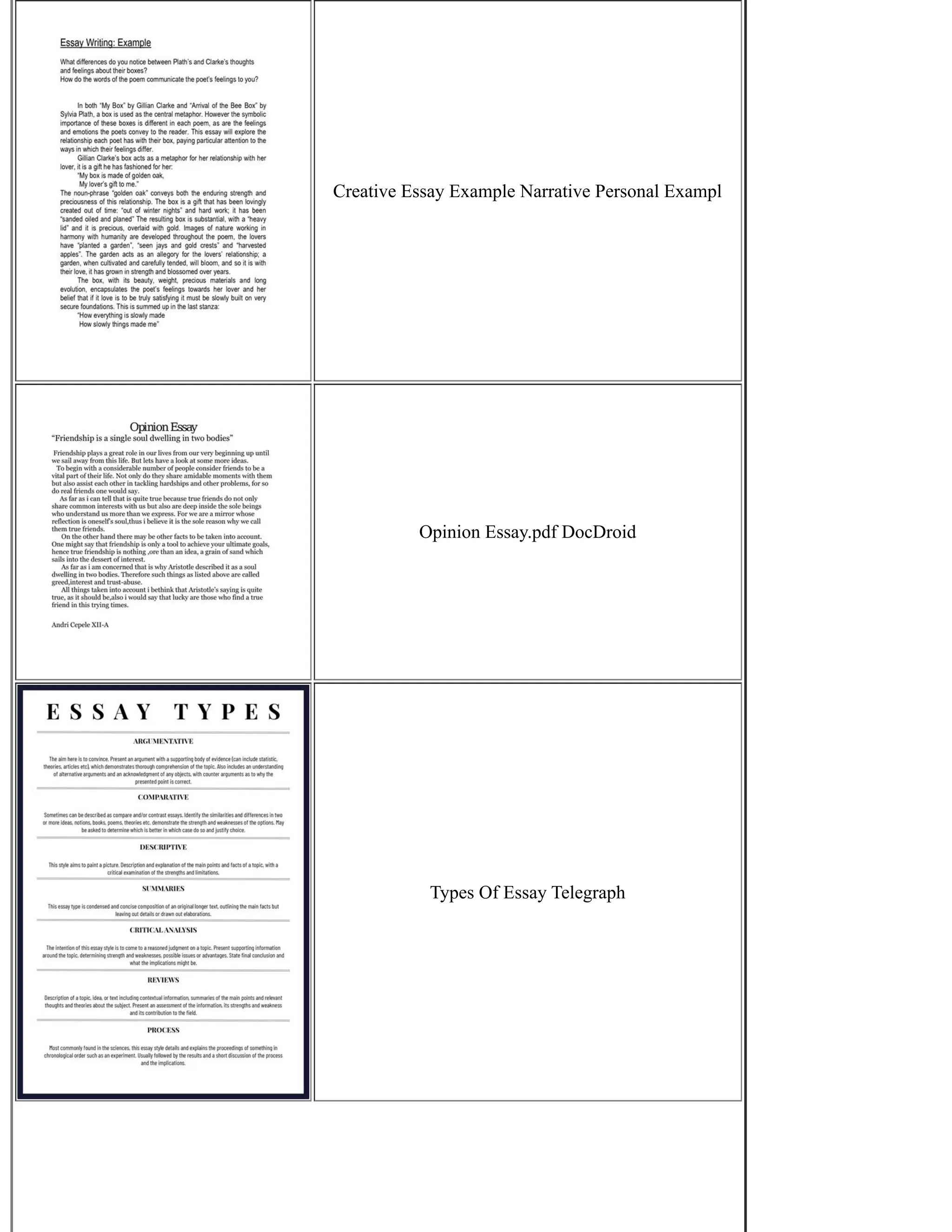 Creative Essay Example Narrative Personal Exampl
Opinion Essay.pdf DocDroid
Types Of Essay Telegraph
 