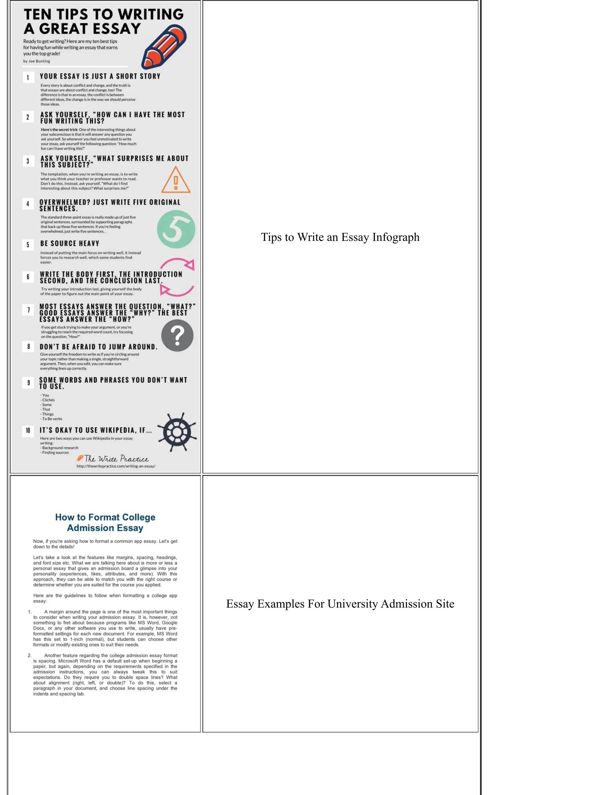 Tips to Write an Essay Infograph
Essay Examples For University Admission Site
 
