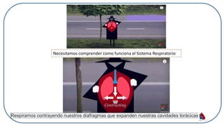 Necesitamos comprender como funciona el Sistema Respiratorio
Respiramos contrayendo nuestros diafragmas que expanden nuestras cavidades torácicas.
 