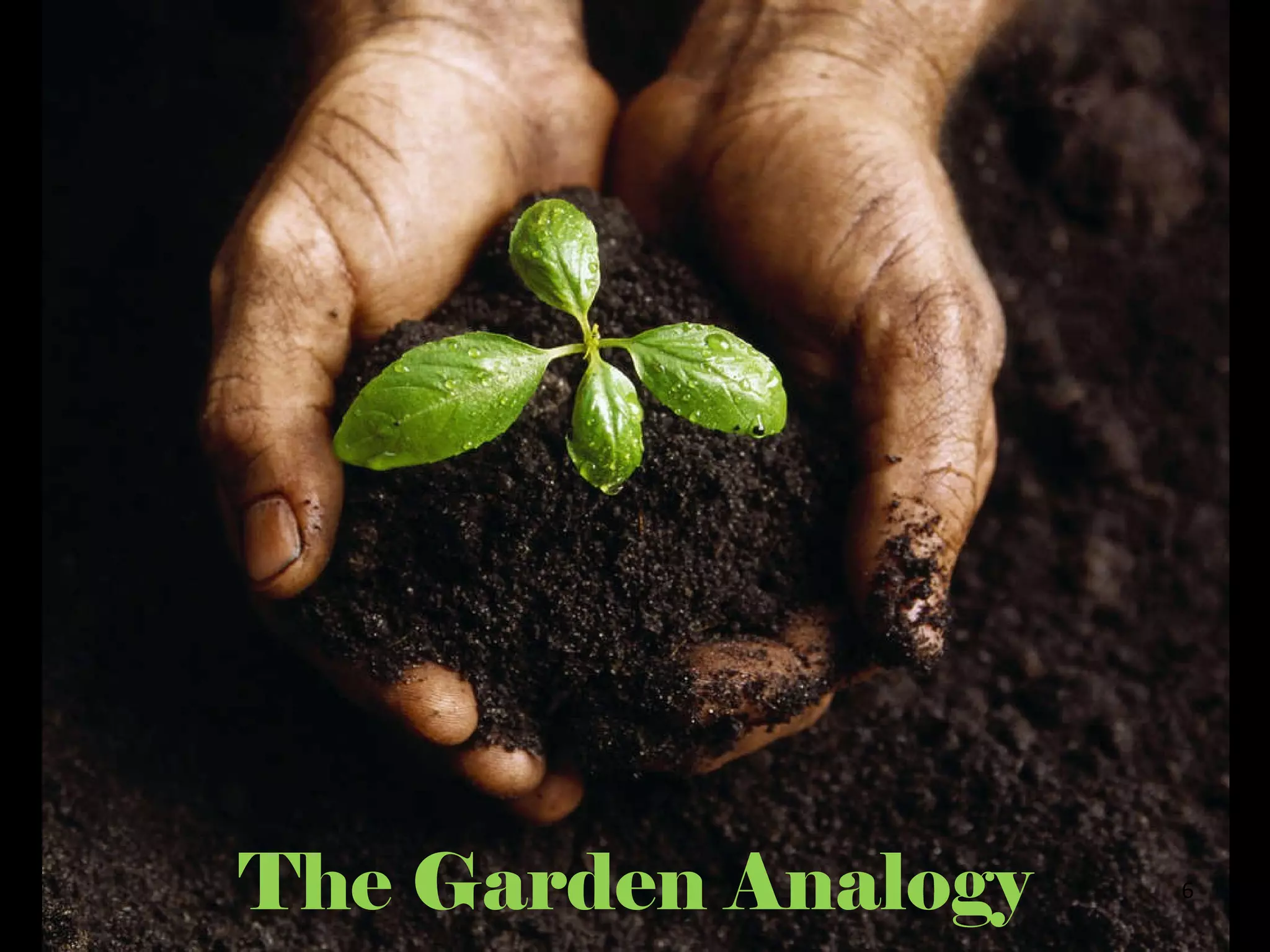 The Garden Analogy 