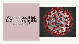 What do you think
is God doing in this
pandemic?
 