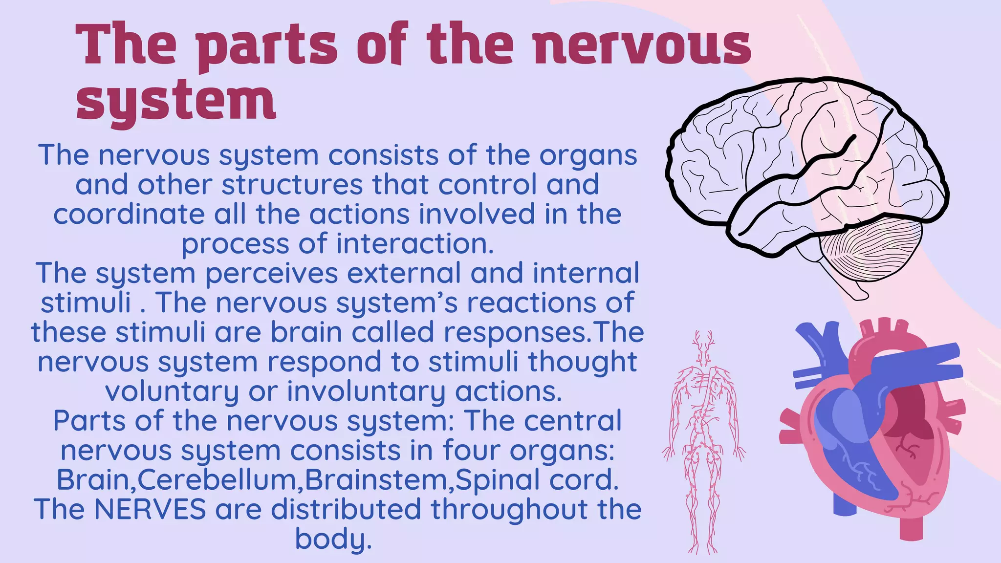 Stigmule How do we respond to stimuli.pdf