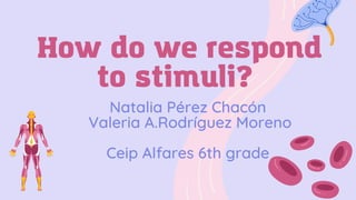How do we respond
to stimuli?
Natalia Pérez Chacón
Valeria A.Rodríguez Moreno
Ceip Alfares 6th grade
 
