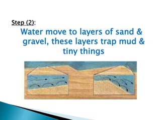 Step (2):

Water move to layers of sand &
gravel, these layers trap mud &
tiny things

 