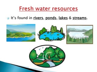 

It’s found in rivers, ponds, lakes & streams.

 