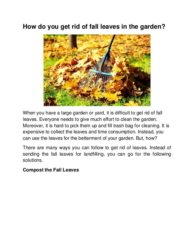 How do you get rid of fall leaves in the garden