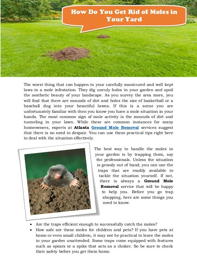 How Do You Get Rid Of Moles In Your Yard how-do-you-get-rid-of-moles-in-your-yard