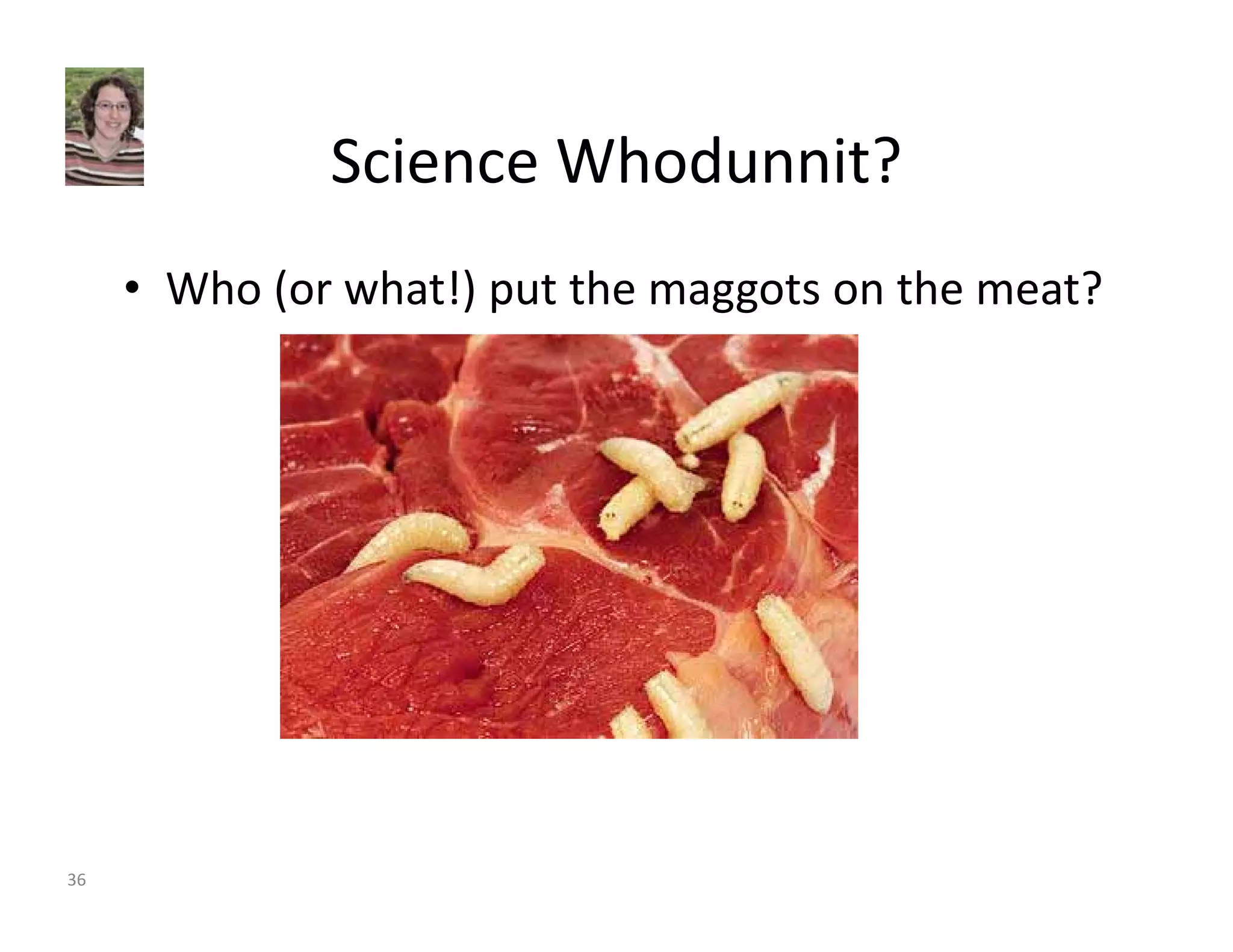 Science Whodunnit? 
• Who (or what!) put the maggots on the meat? 
36 
 