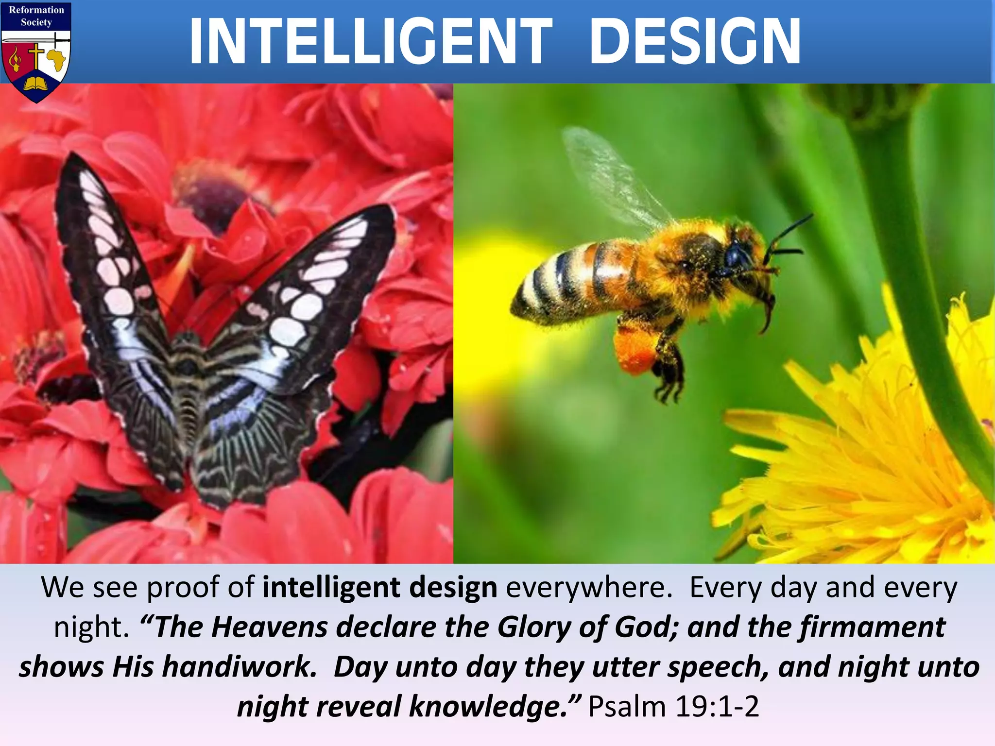 INTELLIGENT DESIGN
We see proof of intelligent design everywhere. Every day and every
night. “The Heavens declare the Glory of God; and the firmament
shows His handiwork. Day unto day they utter speech, and night unto
night reveal knowledge.” Psalm 19:1-2
 