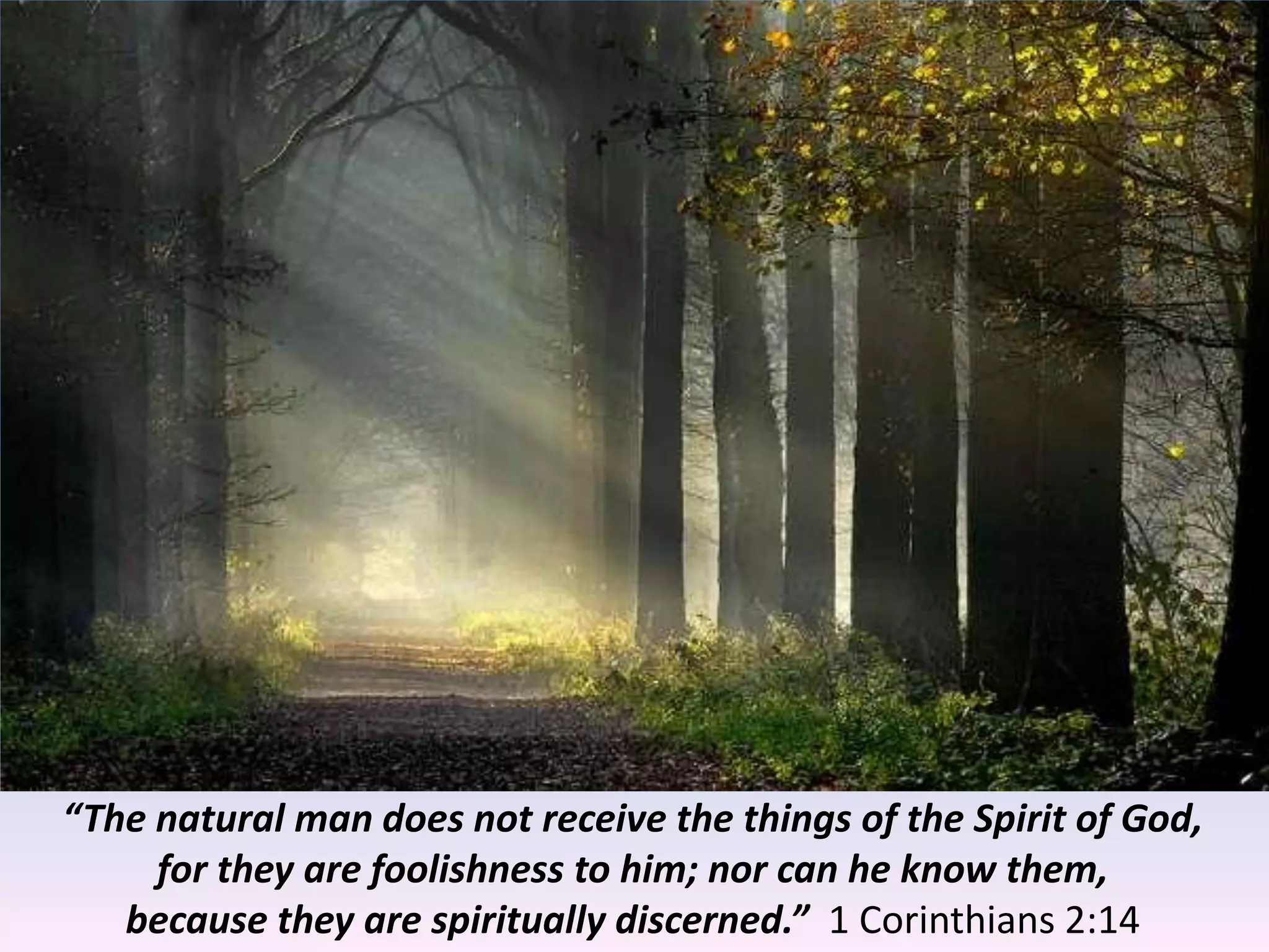 “The natural man does not receive the things of the Spirit of God,
for they are foolishness to him; nor can he know them,
because they are spiritually discerned.” 1 Corinthians 2:14
 