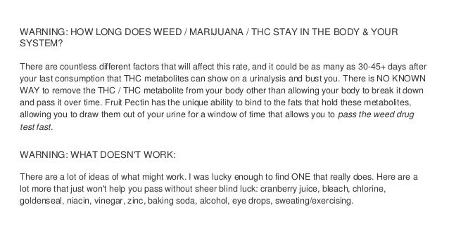 How Do You Pass A Weed Thc Urine Drug Test Naturally With Just 24 Hours Or Less To Prepare How Do You Pass A Weed Thc Urine Drug Test Naturally With Just 24 Hours Or Less To Prepare