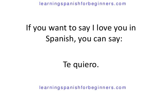 how do you say hey i love you in spanish