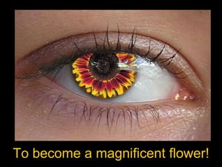 To become a magnificent flower! 