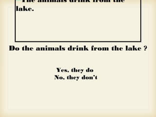 The animals drink from the
lake.
Do the animals drink from the lake ?
Yes, they do
No, they don’t
 