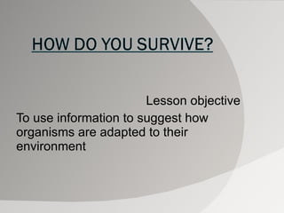 Lesson objective To use information to suggest how organisms are adapted to their environment 