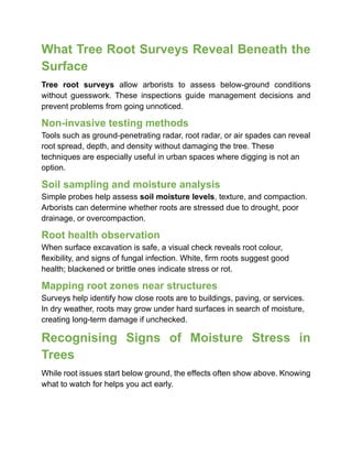 How Dry Soil Conditions in July Impact Root Assessments | PDF