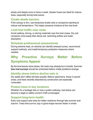 How Dry Soil Conditions in July Impact Root Assessments | PDF