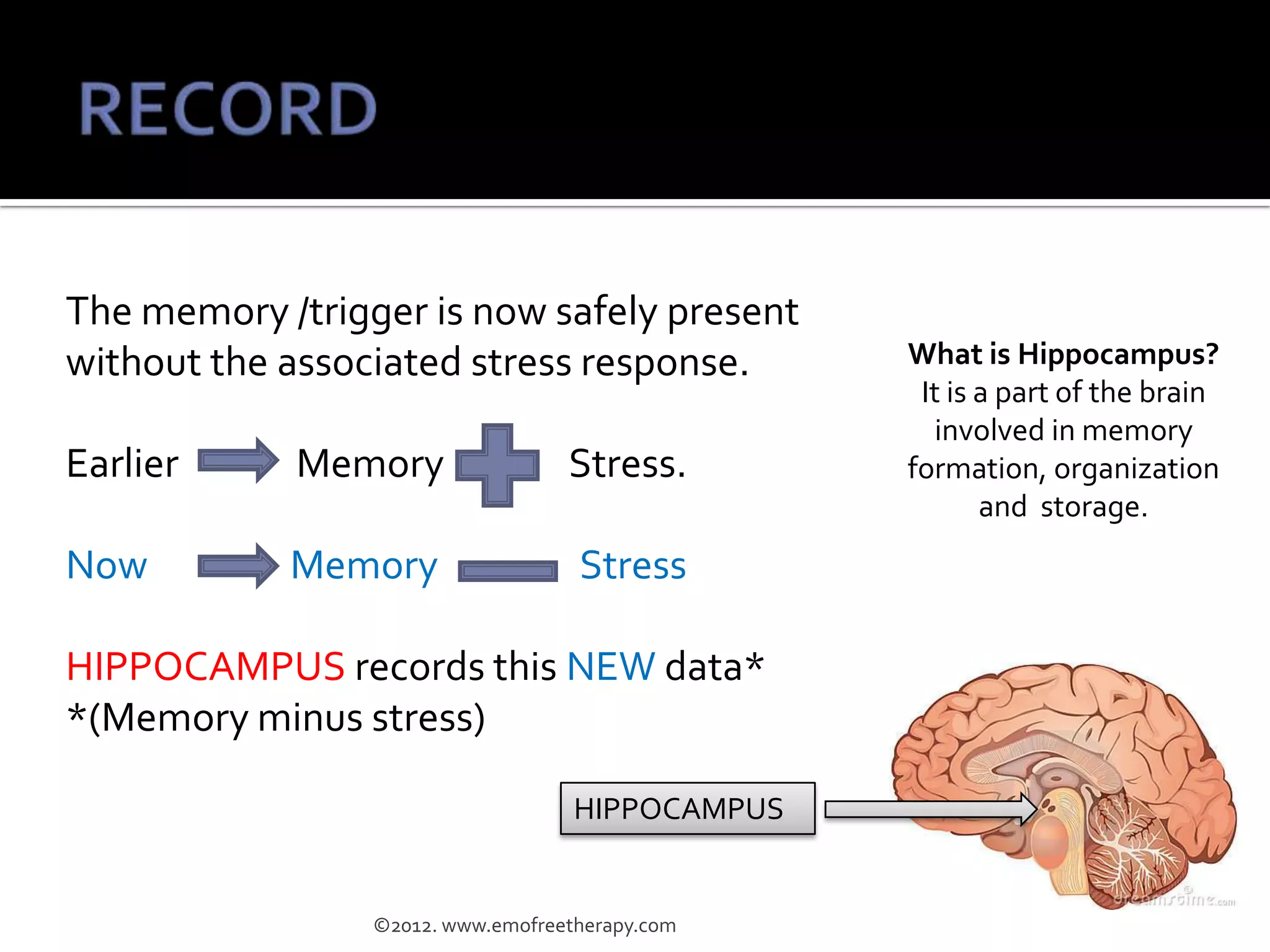 The memory /trigger is now safely present
without the associated stress response.           What is Hippocampus?
                                                   It is a part of the brain
                                                    involved in memory
Earlier     Memory                 Stress.        formation, organization
                                                         and storage.
Now         Memory                  Stress

HIPPOCAMPUS records this NEW data*
*(Memory minus stress)

                                    HIPPOCAMPUS


                 ©2012. www.emofreetherapy.com
 