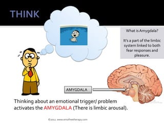 What is Amygdala?

                                               It’s a part of the limbic
                              ...
