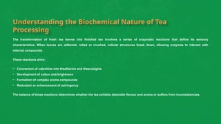Enhancing tea flavour and colour with enzyme precision | PPTX