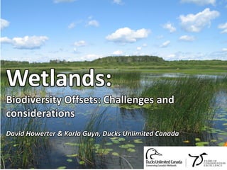 Wetlands:

Biodiversity Offsets: Challenges and
considerations

Wetlands:

David Howerter & Karla Guyn, Ducks Unlimited Canada

ecology of prairie wetlands and their
importance to waterfowl

 