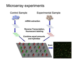 Microarray experiments
 