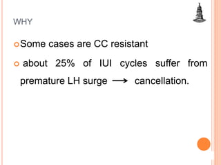 Some cases are CC resistant
 about 25% of IUI cycles suffer from
premature LH surge cancellation.
WHY
 