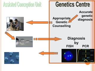 Embryo biopsy
Diagnosis
by
Transfer
2 unaffected
embryos
Fertilisation in vitro
(IVF or ICSI)
PCRFISH
Accurate
genetic
diagnosisAppropriate
Genetic
Counselling
DENATURING
ANNEALING
EXTENSION
PRIMER
TAQ
TAQ
 