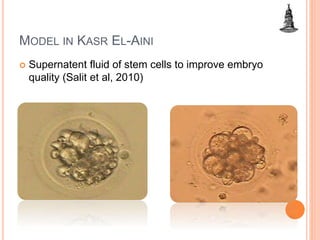 MODEL IN KASR EL-AINI
 Supernatent fluid of stem cells to improve embryo
quality (Salit et al, 2010)
 