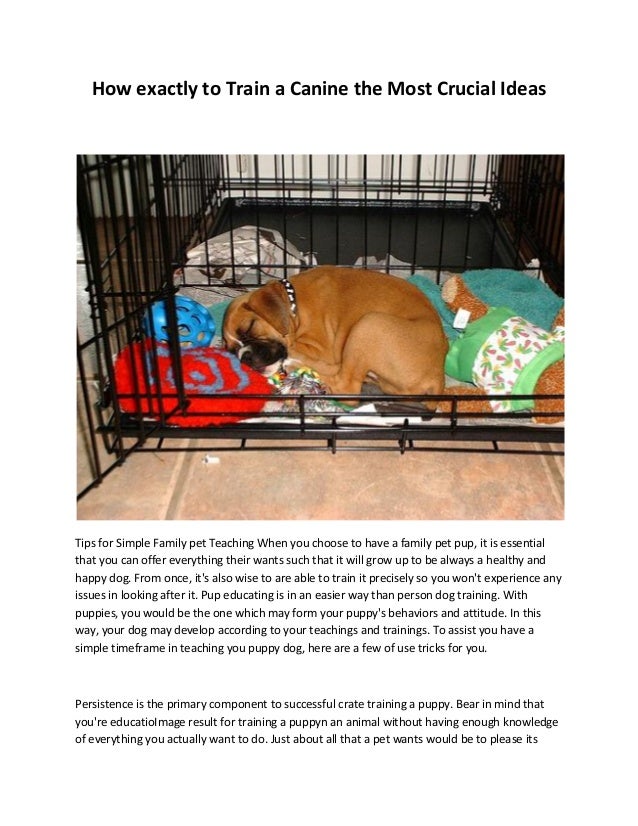 canine crates