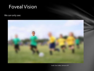 FovealVision
We can only see:
Credit: Dan Liddle, Clemson UTF
 