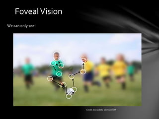 FovealVision
We can only see:
Credit: Dan Liddle, Clemson UTF
 