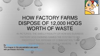 HOW FACTORY FARMS
DISPOSE OF 12,000 HOGS
WORTH OF WASTE
IN PICTURES: THE SMELLY REALITY OF HOW BIG BUSINESS
FACTORY HOG FARMING GAMES THE SYSTEM TO BIG
PROFITS AT THE EXPENSE OF COMMUNITIES, THE
ENVIRONMENT, AND SMALL FARMERS

By Motley Fool Contributor Jay Jenkins
The images in this presentation are used
with permission from the WaterKeeper Alliance

 
