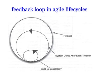 feedback loop in agile lifecycles
 