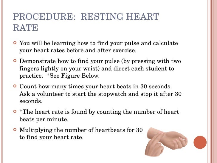 How Fast Does Your Heart Beat Science Ind Project