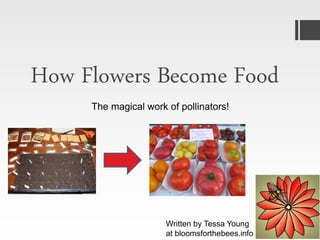 How Flowers Become Food
The magical work of pollinators!
Written by Tessa Young
at bloomsforthebees.info
 