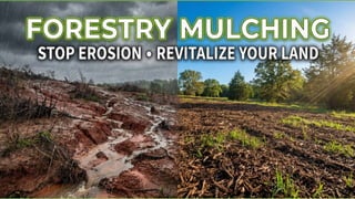 Responsible Land Clearing for Ecosystem Restoration and Property Value ...