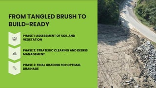Responsible Land Clearing for Ecosystem Restoration and Property Value ...