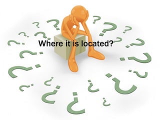 Where it is located?
