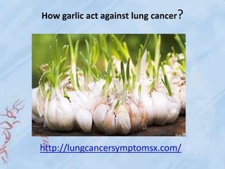 How garlic act against lung cancer?
http://lungcancersymptomsx.com/
 